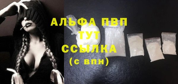 сатива Елабуга