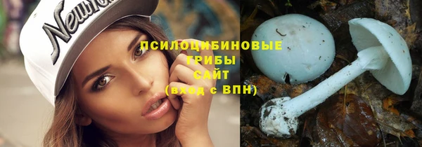 сатива Елабуга