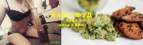 сатива Елабуга