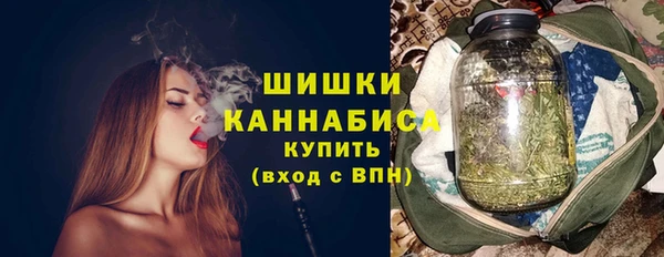 сатива Елабуга